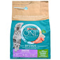 Purina One Bifensis Sensitive Hrana za mačke puretina 2,8 kg