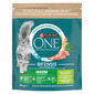Purina One Bifensis Indoor Hrana za mačke puretina 750 g