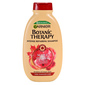 Garnier Botanic Therapy Šampon castor oil&maple sap 250 ml