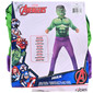 Hulk Kostim, (3-4 g, 98-104 cm)