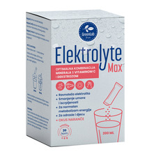 GreenLab Elektrolyte Max Instant napitak u prahu okus naranče 120 g