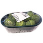 Kelj pupčar 350 g