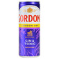 Gordon's London Dry Gin&tonic 250 ml