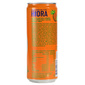 Hidra Vital Funkcionalno piće ananas&limeta 0,33 l