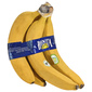 Banana bio