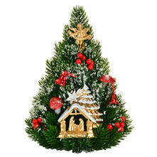 Ukrasni bor štalica 30 cm