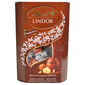 Lindt Lindor Praline hazelnut 200 g