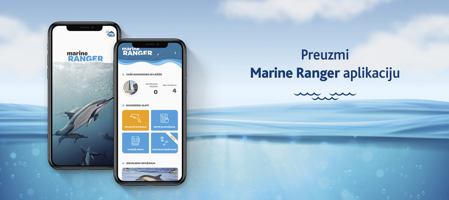 Što učiniti kad opazite dupine ili kitove u moru?  Pogledajte u aplikaciji Marine Ranger!