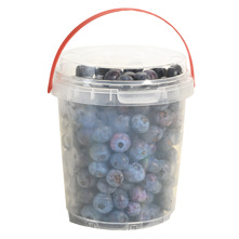 Borovnica 500 g