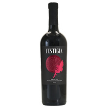 Vina Laguna Festigia Merlot Vrhunsko vino 0,75 l