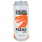 Zmajska pivovara Pale Ale Svijetlo pivo 0,5 l
