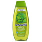 Schauma Nettle Freshness Šampon kopriva 400 ml