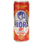 Hidra Up! Funkcionalno piće orange 0,33 l