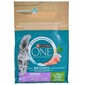 Purina One Bifensis Sensitive Hrana za mačke puretina 2,8 kg