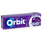 Orbit Žvakaća guma blueberry 14 g
