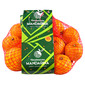 Neretvanska mandarina   1 kg