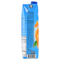Fructal Nektar Classic naranča 1 l