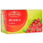 Podravka Čaj brusnica 40 g