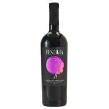 Vina Laguna Festigia Cabernet Sauvignon Vrhunsko vino 0,75 l