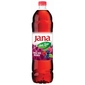 Jana Ledeni čaj okus šumsko voće i brusnica 1,5 l