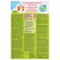 Hipp Bio Ice Sticks 10x40 ml