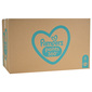 Pampers Pants Pelene-gaćice, veličina 6, mjesečno pakiranje 132/1