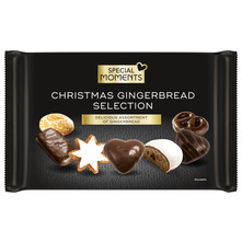 Special Moments Christmas Gingerbread Selection 300 g