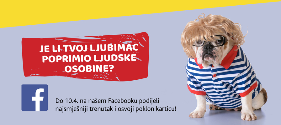 Facebook nagradni natječaj - Ljubimac s ljudskim osobinama