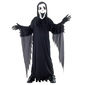 Vrišteći duh Kostim, S (5-6 g,110-120 cm)