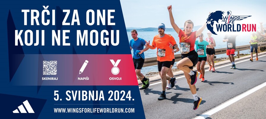 Wings for life world run 